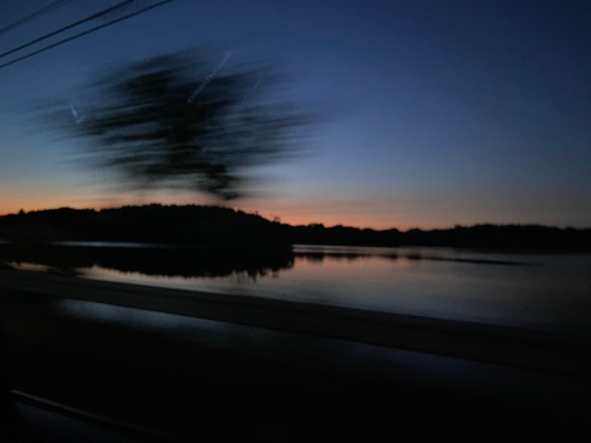 A snapshot with friends